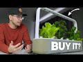 Should You Buy The Click &amp; Grow Smart Garden 9? Review &amp; Honest Thoughts