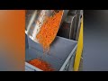 Carrot Julienne Stick Cutting with Vegetable Processing Machine S40 | 3x3 mm | 500 kg/h Productivity