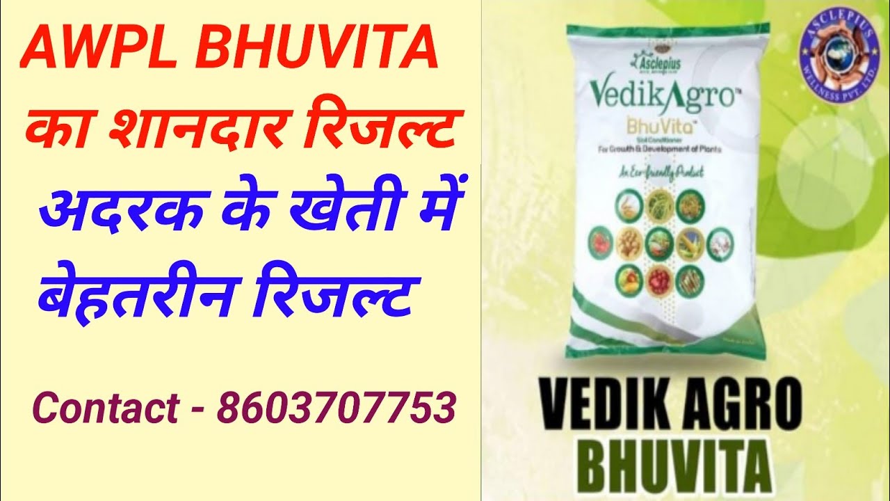 Awpl के भूवीटा से अदरक की पैदावर बढ़ी || #awpl result #awplproducts # ...