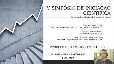 O problema do empacotamento bidimensional