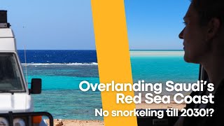 No snorkeling till 2030 in Saudi's Red Sea!? - Overlanding surprises in Saudi Arabia Ep.4