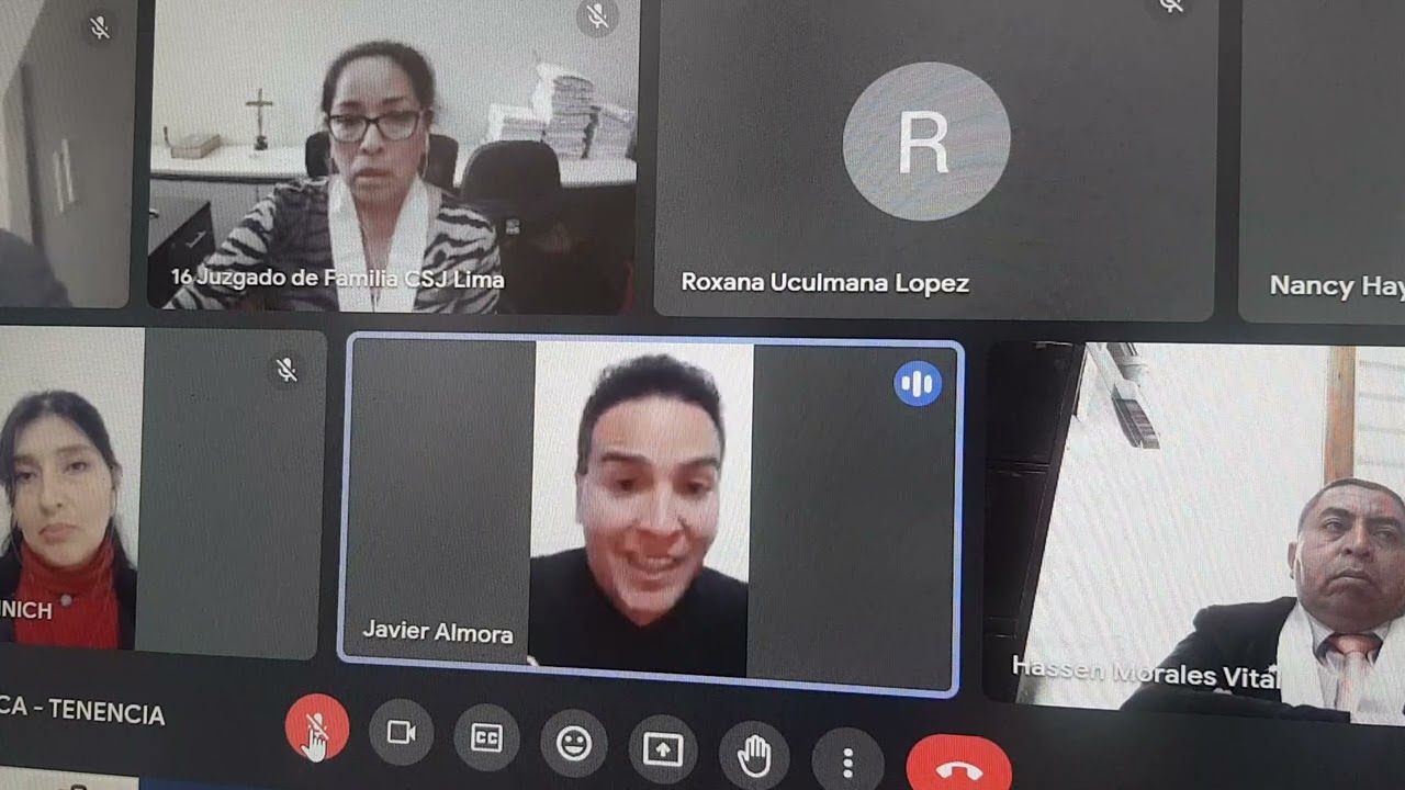 Audiencia unica - Tenencia exclusiva de menor (parte 2) continuará...