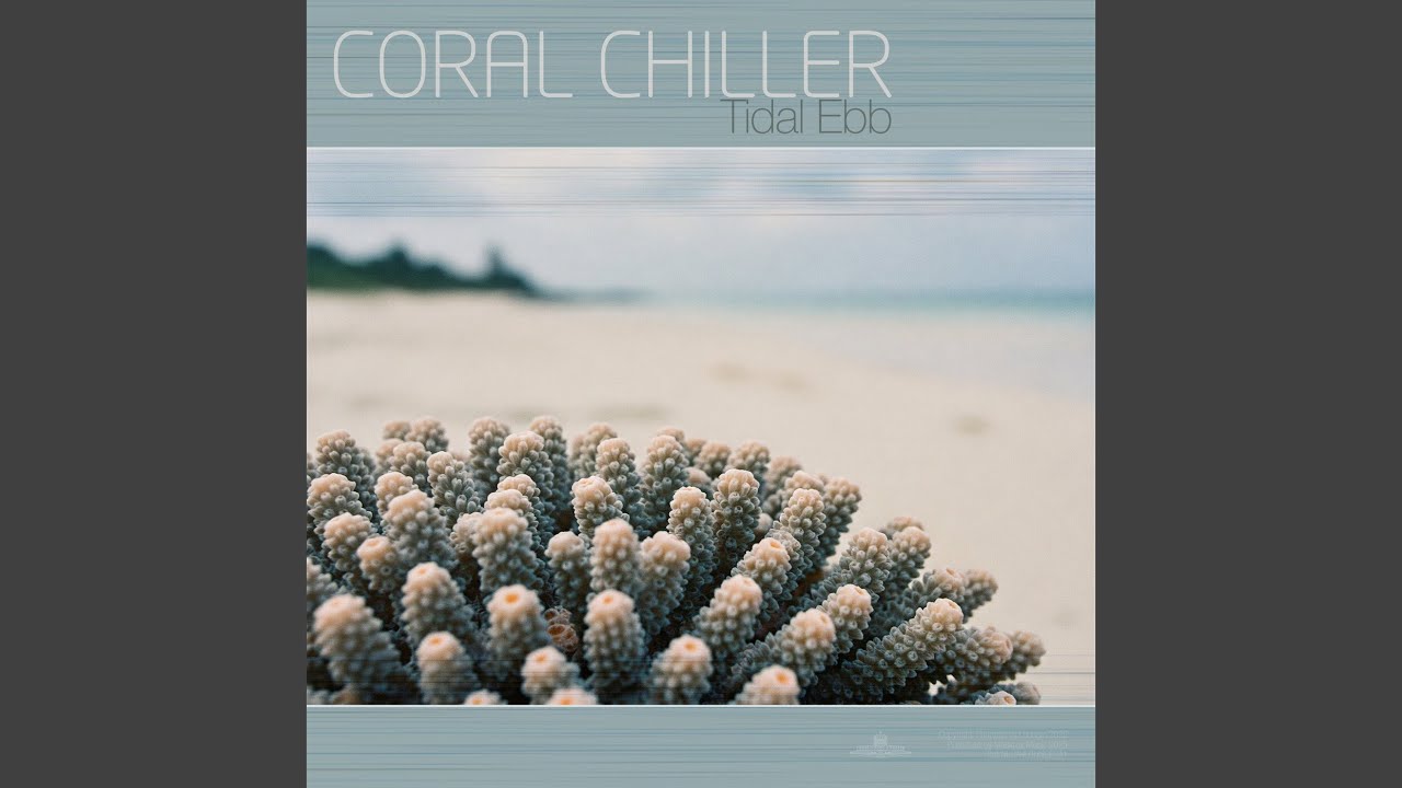 Watch Tidal Ebb on YouTube Watch Tidal Ebb on YouTube