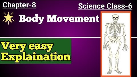 Class 6 Science Chapter 8 l Body Movement l Part-3