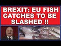 Brexit: EU fish catches to be slashed! (4k)