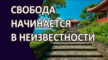 Свобода начинается в неизвестности
