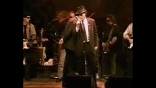 Blues Brothers Belushi Birthday Bash at House of Blues