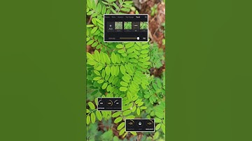 Moody brown tone in Lightroom 🤎 | Lr edits. #shorts #colorgrading #lr #nature #viral