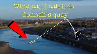 Connah’s quay specimen fishing, uk sea fishing , north wales sea fishing 