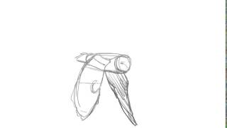 Owl Rough Flight Cycle