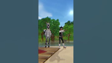 #sso #horse #starstable #Arabianhorse #starstableonline #Dance
