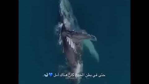 الشيخ إسلام صبحي ماتيسر من سورة الأنبياء