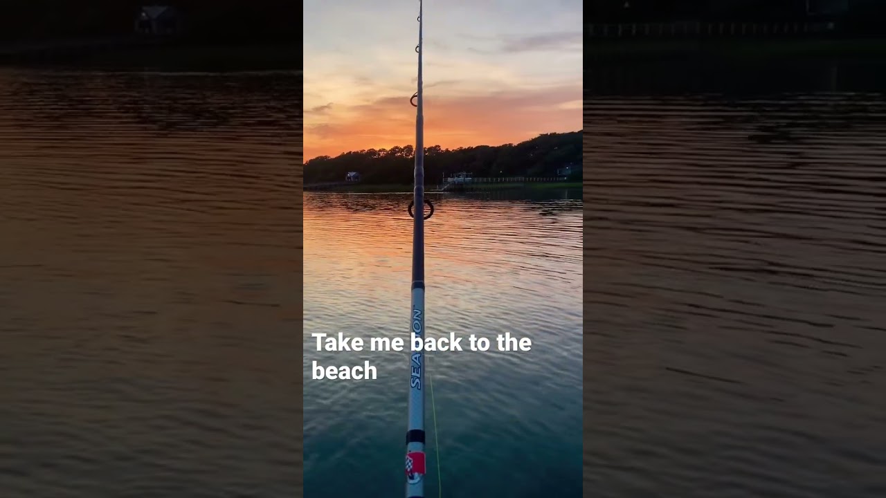 Fresh Water or Salt Water Fishing? shorts fishing 