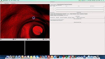 Preparing a PolyData Surface for Meshing