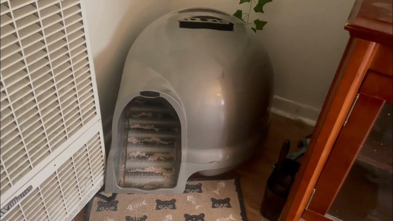 Petmate Booda Clean Step Cat Litter Box Dome Review, Covered box helps