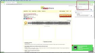 How to Download from Zippyshare Quickly, Easily, and Safely (2022) screenshot 4