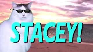 HAPPY BIRTHDAY STACEY! - EPIC CAT Happy Birthday Song