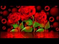    bette midler the rose hq wlyrics   