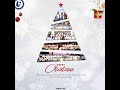 Happy Christmas | Warm Wishes from RoyalGlo Next Academy 🎅✨ #mbbsingeorgia #studymbbsingeorgia