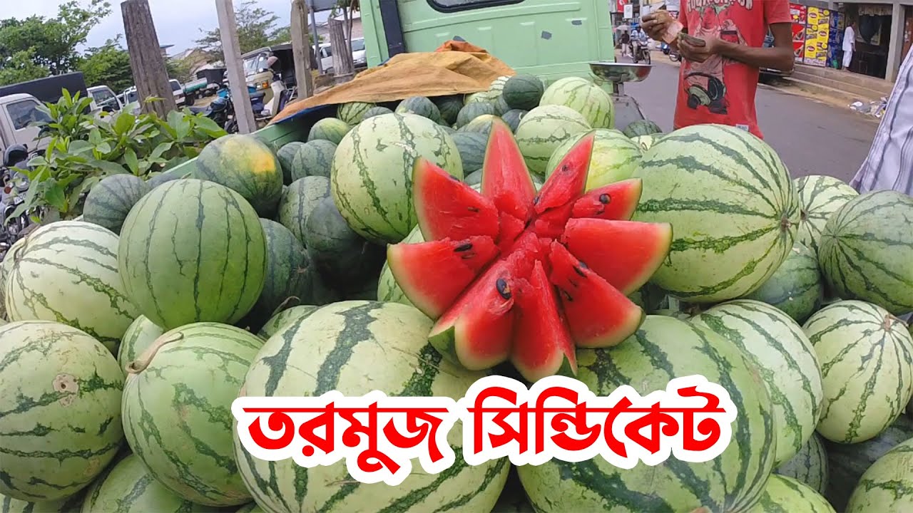 দেশের ইতিহাসে সর্বোচ্চ দামে বিক্রি হচ্ছে তরমুজ !! - YouTube