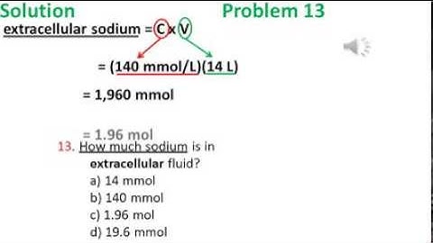 Diffusion and Osmosis problem 13 video