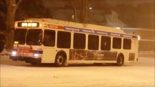 Septa Transit Scenes 10