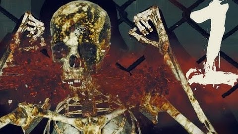 MULTIKILLS MONTAGE #1 (NZA 1)