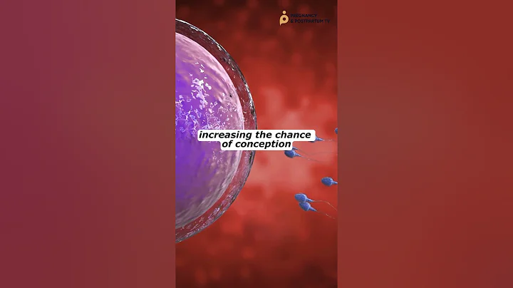 4 Ways ✅ To Track Your Fertile Window