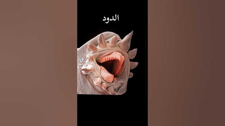 كيف تبدو الأشياء تحت المجهر 🔬
