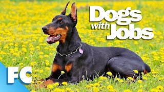 Dogs With Jobs | S4E02: Zelda, Azili & Amy |  Full Animal Documentary TV Show | FC