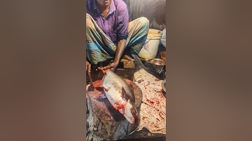You Won’t Believe How Easy It Is to Cut Pangas Fish!#pangasfish #fishcutting