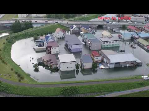 音更木野