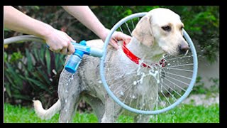 犬の体が全方位同時に洗えるウォッシャー