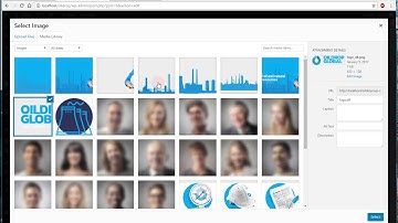 How to edit header and footer elements in OilDrop WP theme