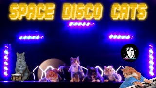 SPACE CATS - MAGIC FLY (Meow Disco Remix 2016)