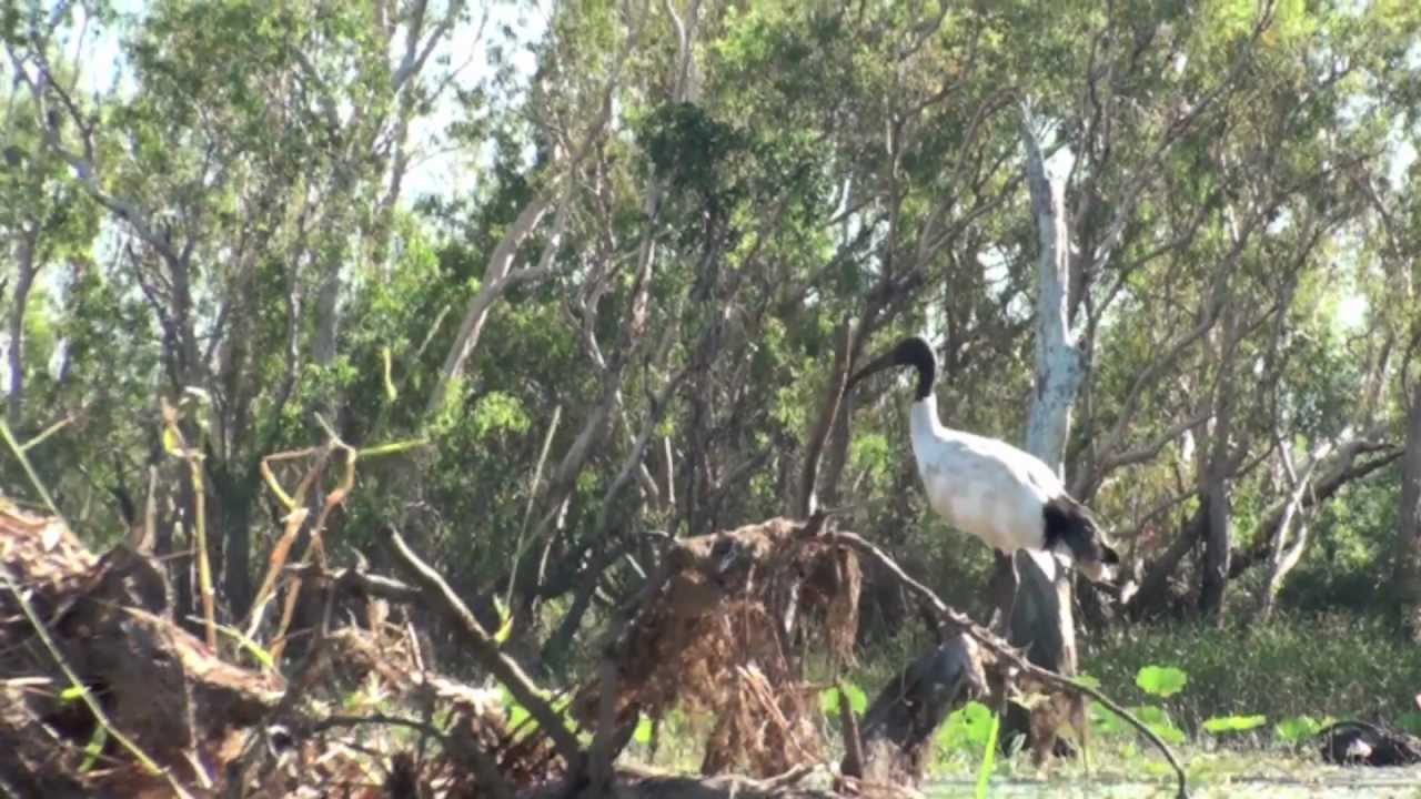 A day at Point Stuart
