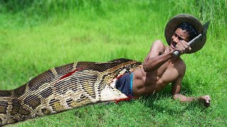 Primitive Technology - Easy Snake Trap Using Big Hole & Chicken That Work 100% by da ra 11,980 views 1 year ago 9 minutes, 12 seconds