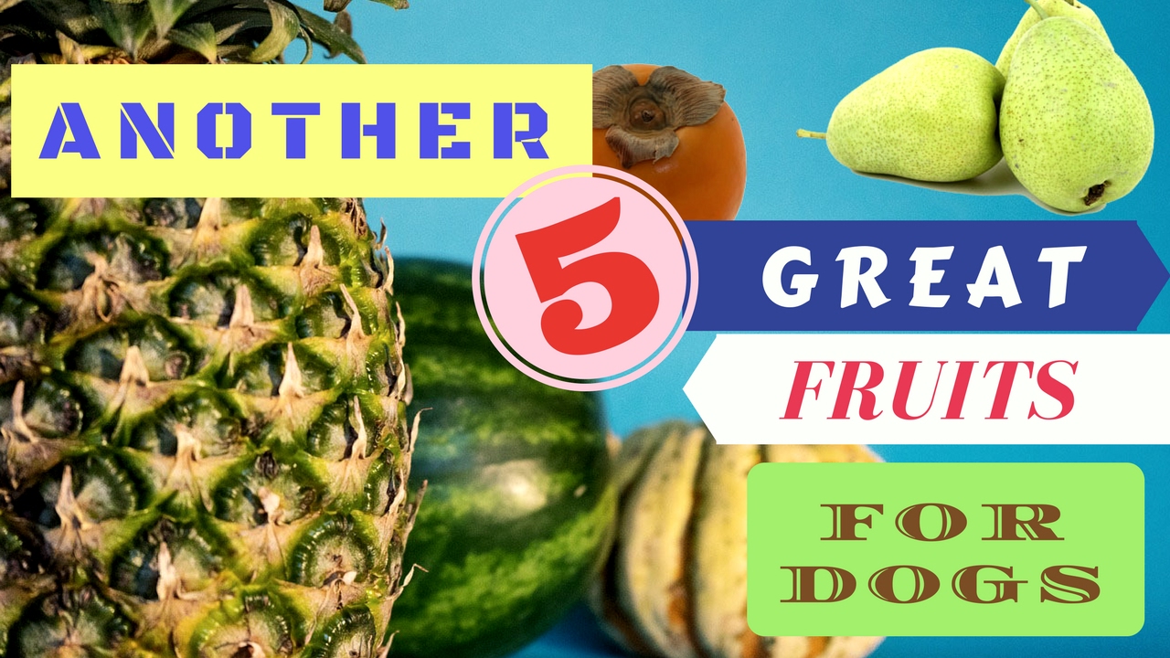 Are Pear Cores Bad For Dogs