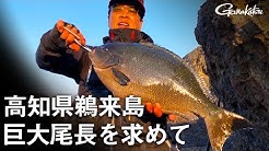 Nan Nan Back Undefined Skip Navigation Search Search Sign In Undefined Home Home Explore Explore Subscriptions Subscriptions Library Library History History Gamakatsumovie Gamakatsumovie 23 1k Subscribers Subscribe Http Www Gamakatsu Co