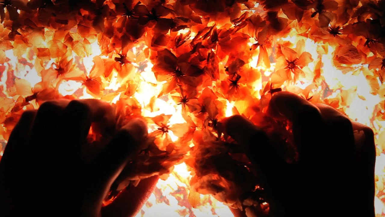 The surface of the earth trailer thumbnail
