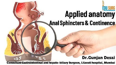 Applied anatomy of Anal canal 2 - Anal sphincter complex & continence mechanism - Edusurg Clinics