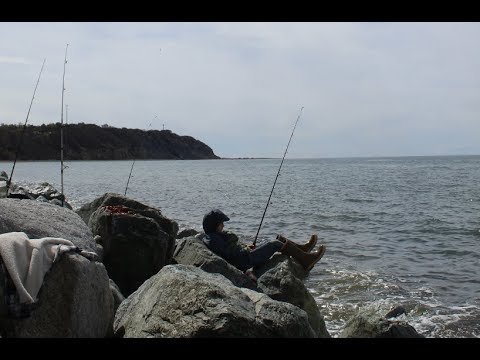Halibut Fishing From Shore (Alaska) - YouTube