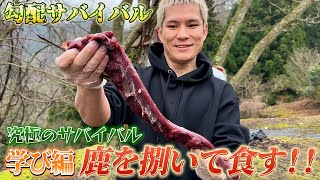 鳥取の害獣『野生の鹿』を狩って捌いてみたら美味すぎた【勾配サバイバル第6弾】