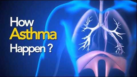Asthma-3D Animation