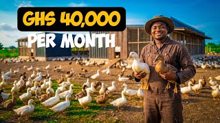 How to Start a Profitable Duck Farm From Scratch (Beginner’s Step-by-Step Guide)
