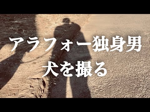 【総勢50頭以上】ひたすら犬を撮り続けた記録【犬vlog】