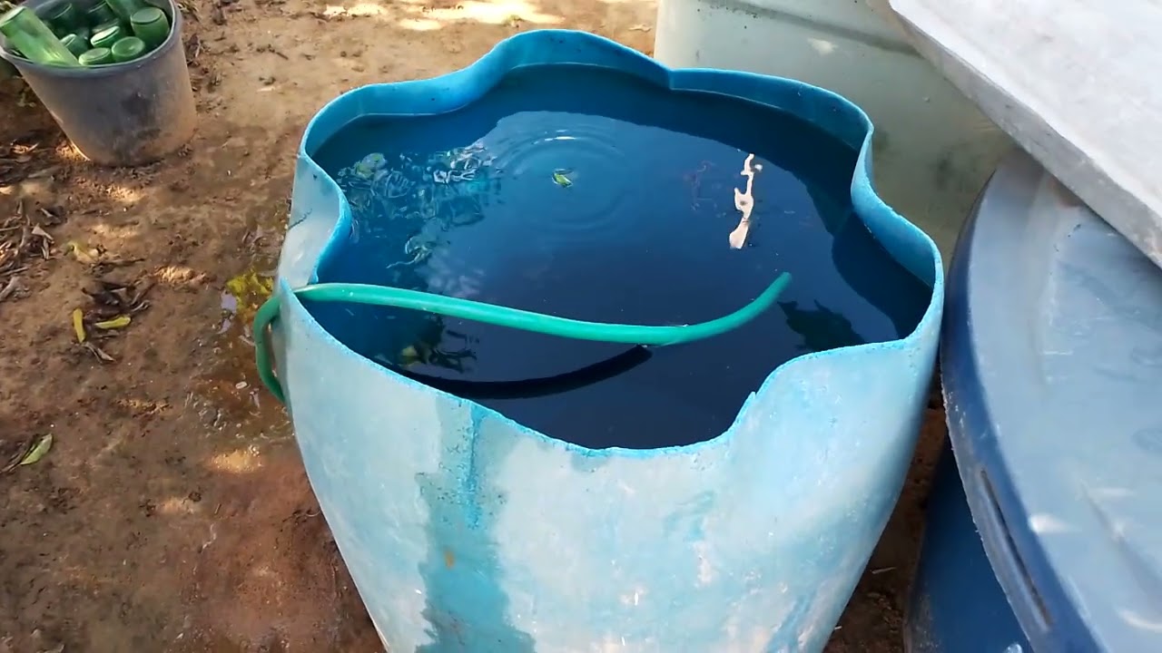 Eu fiz mais canteiros  na minha casa 