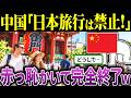 中国「日本旅行は禁止だ!」→結果、日本が大喜びしてしまうw【海外の反応&ゆっくり解説】
