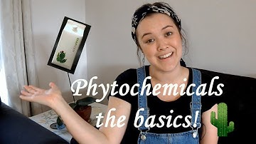 PHYTOCHEMICALS // The basics & What to eat