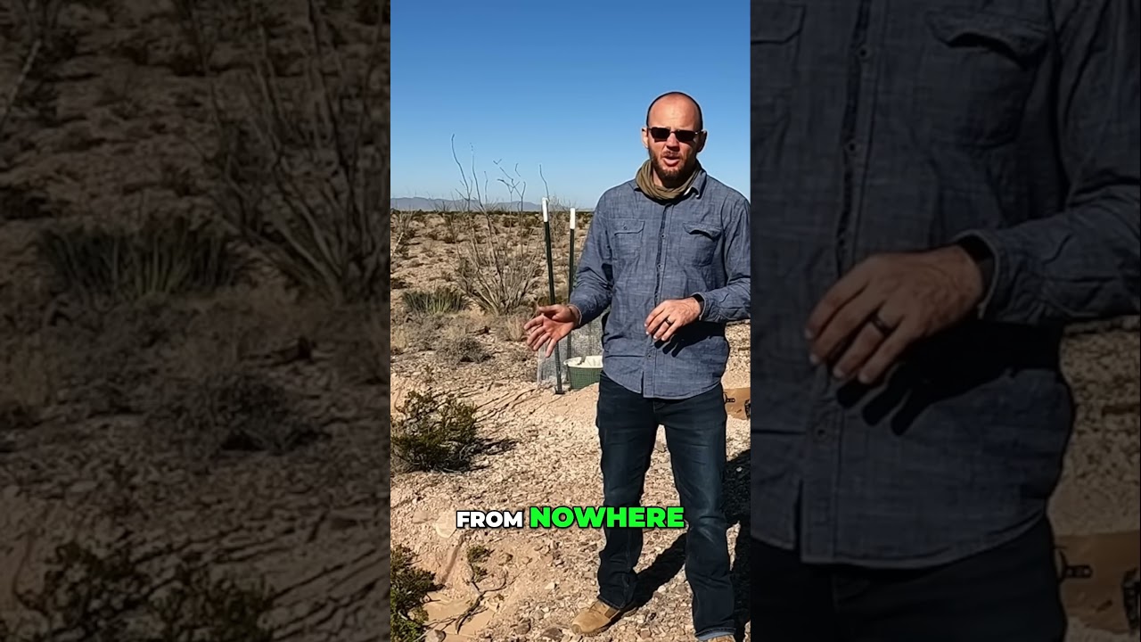 If I Can Do Permaculture, SO DO YOU!